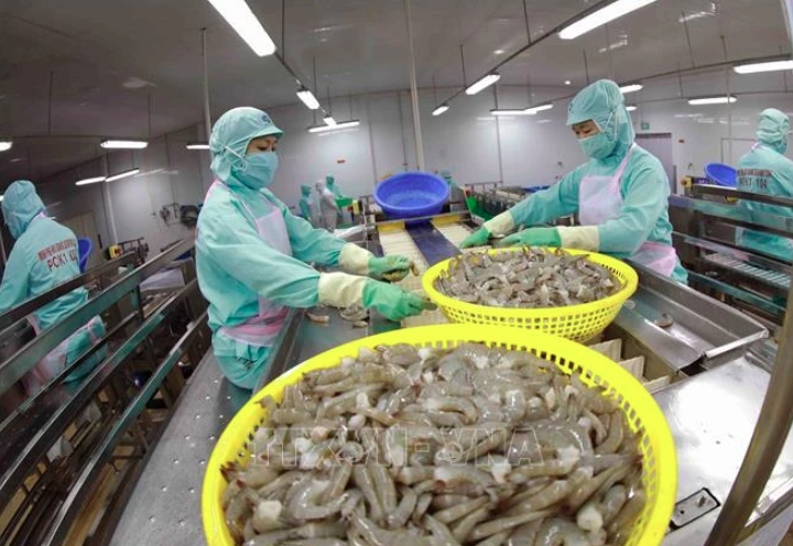 Shrimp companies seek to maintain exports in H2 amid fierce competition